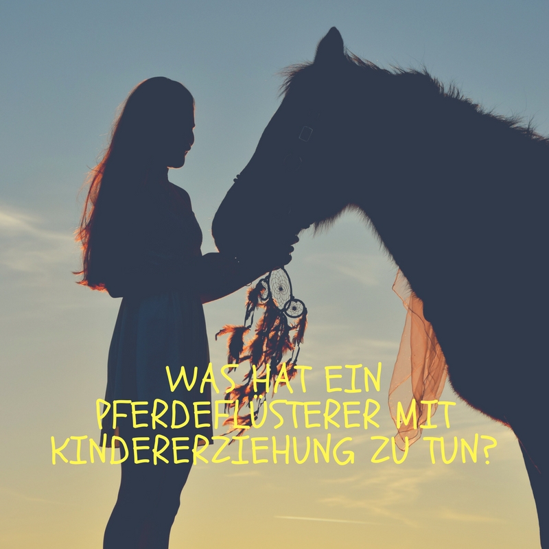 Mehr über den Artikel erfahren Kinderflüsterer